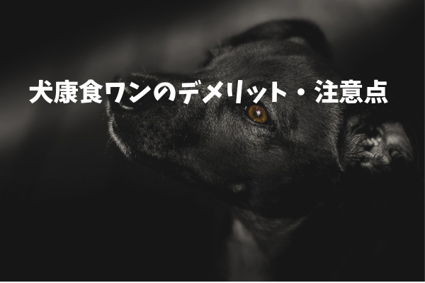 【購入前に知っておきたい】犬康食ワンのデメリット＆注意点