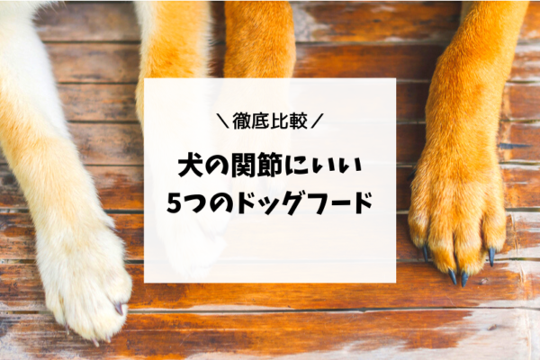 犬の関節にいいドッグフード5つを徹底比較【シニア犬や関節炎に〇】