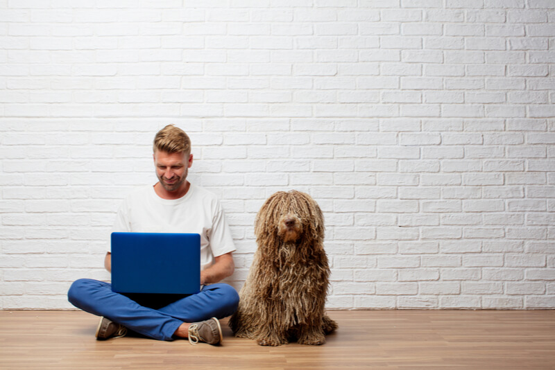 犬と一緒にパソコンを見る男性