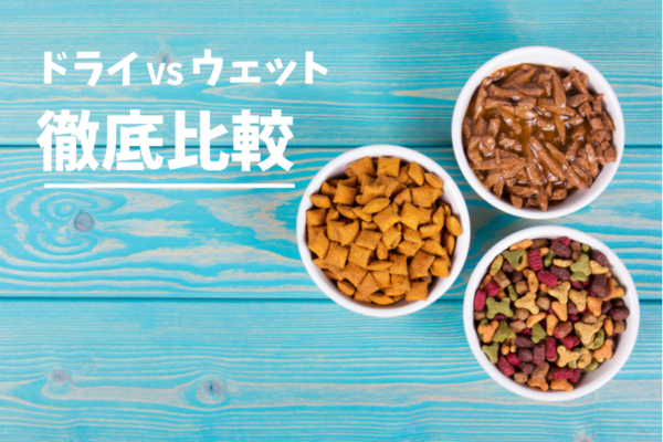 ドッグフードのドライとウェットを徹底比較【違いや向き不向きが分かる】