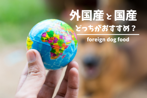 ドッグフードの外国産と国産、安全性や価格でおすすめなのはどっち？