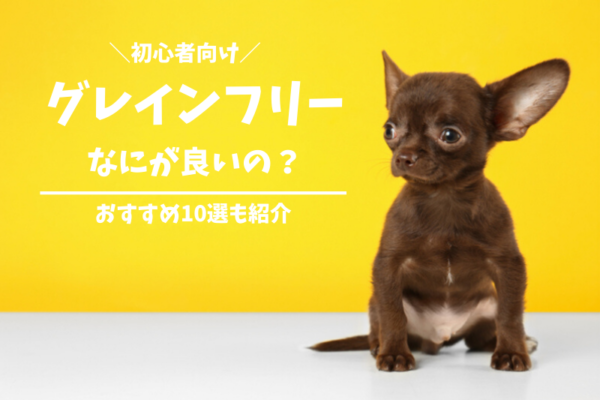 【初心者向け】ドッグフードのグレインフリーとは？おすすめ10選もご紹介