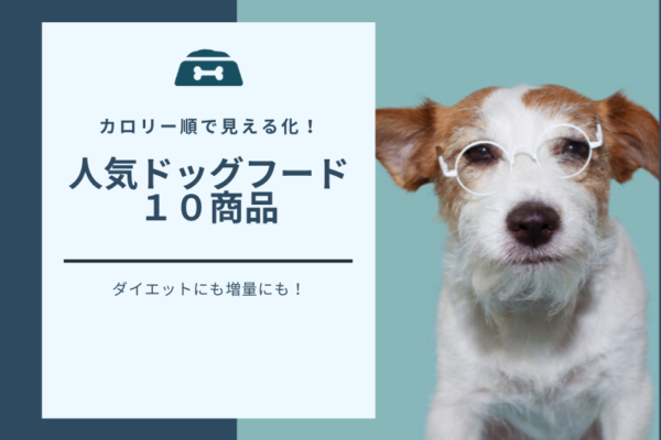 ドッグフード人気10商品をカロリー順で見える化！ダイエットや増量に適したものが見つかる